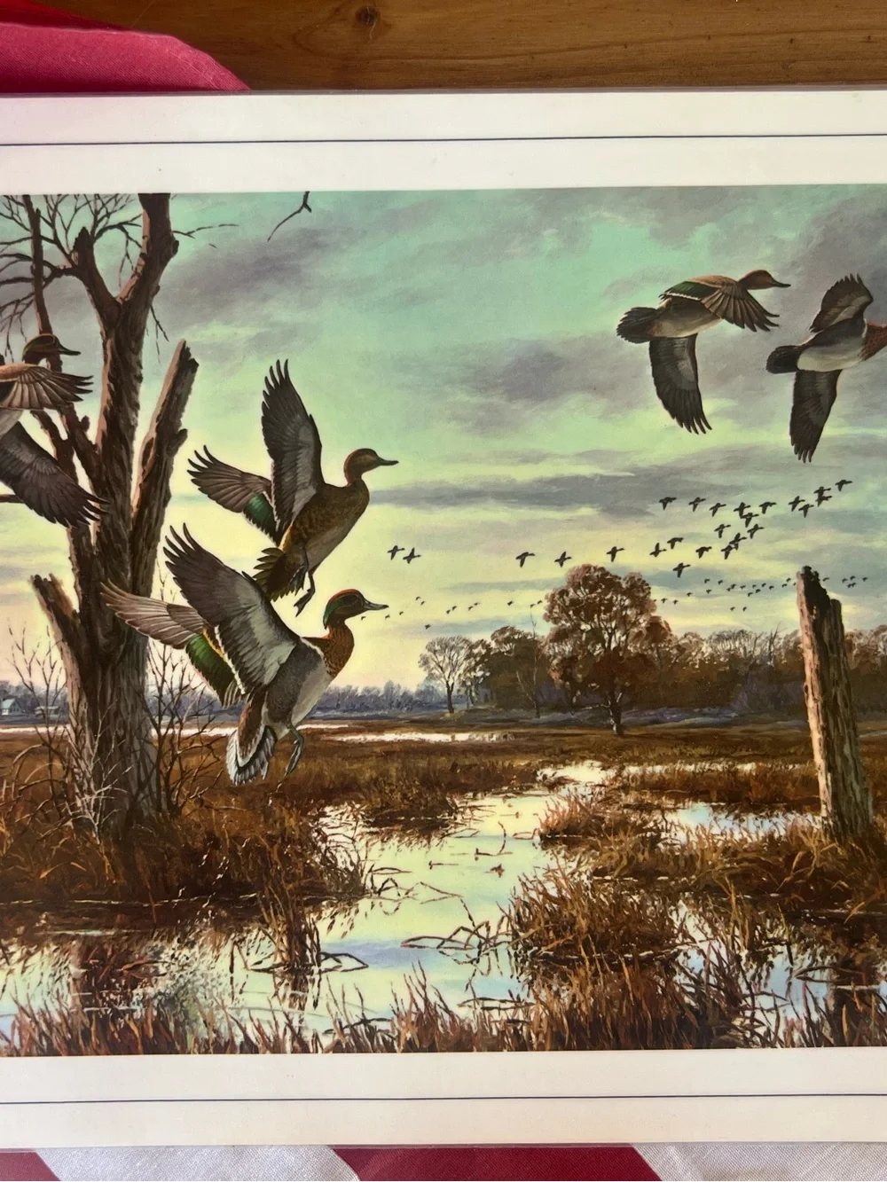 Vintage Duck Marsh Print Dinner Place Mat- Green & Brown Scenic Wildlife Art